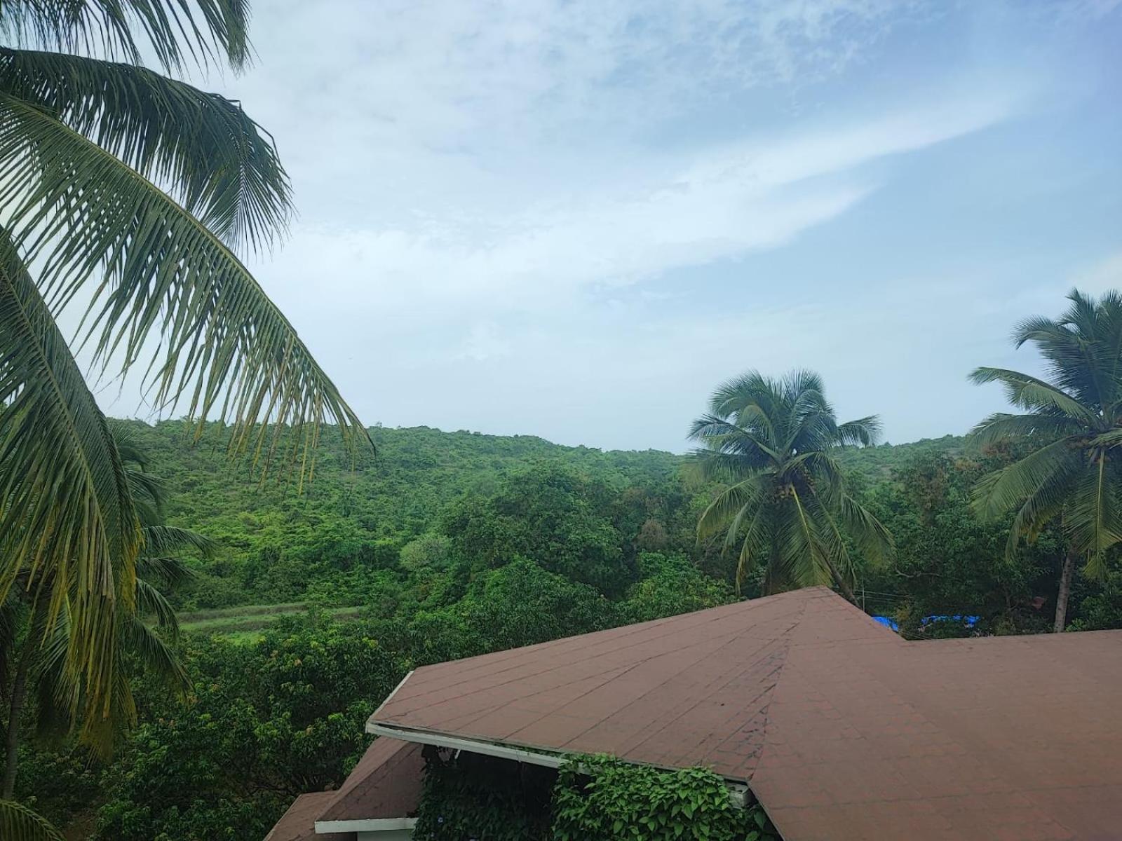 The Verda De Miranda Resort Morjim North Goa Exterior foto